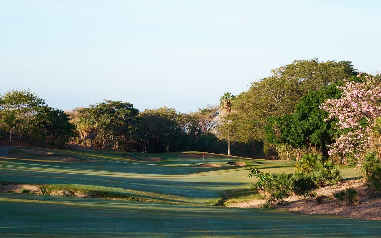 Vista Vallarta Nicklaus Course