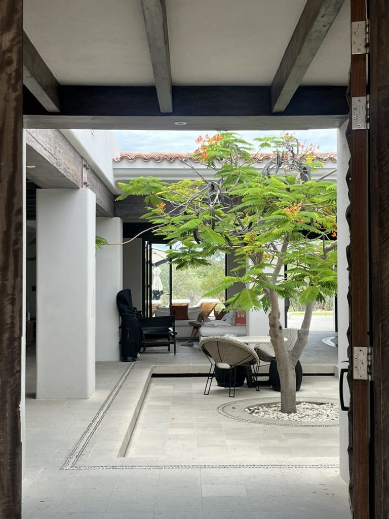 Naah Payill house entry with flamboyán tree