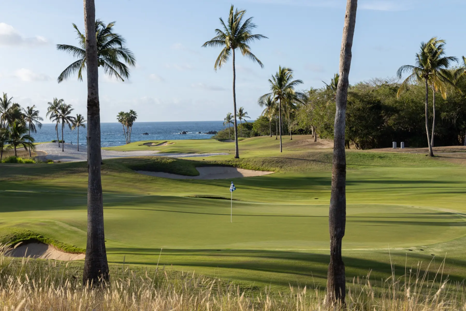 An oceanfront green on the Punta Mita peninsula framed by palms and dune grass.