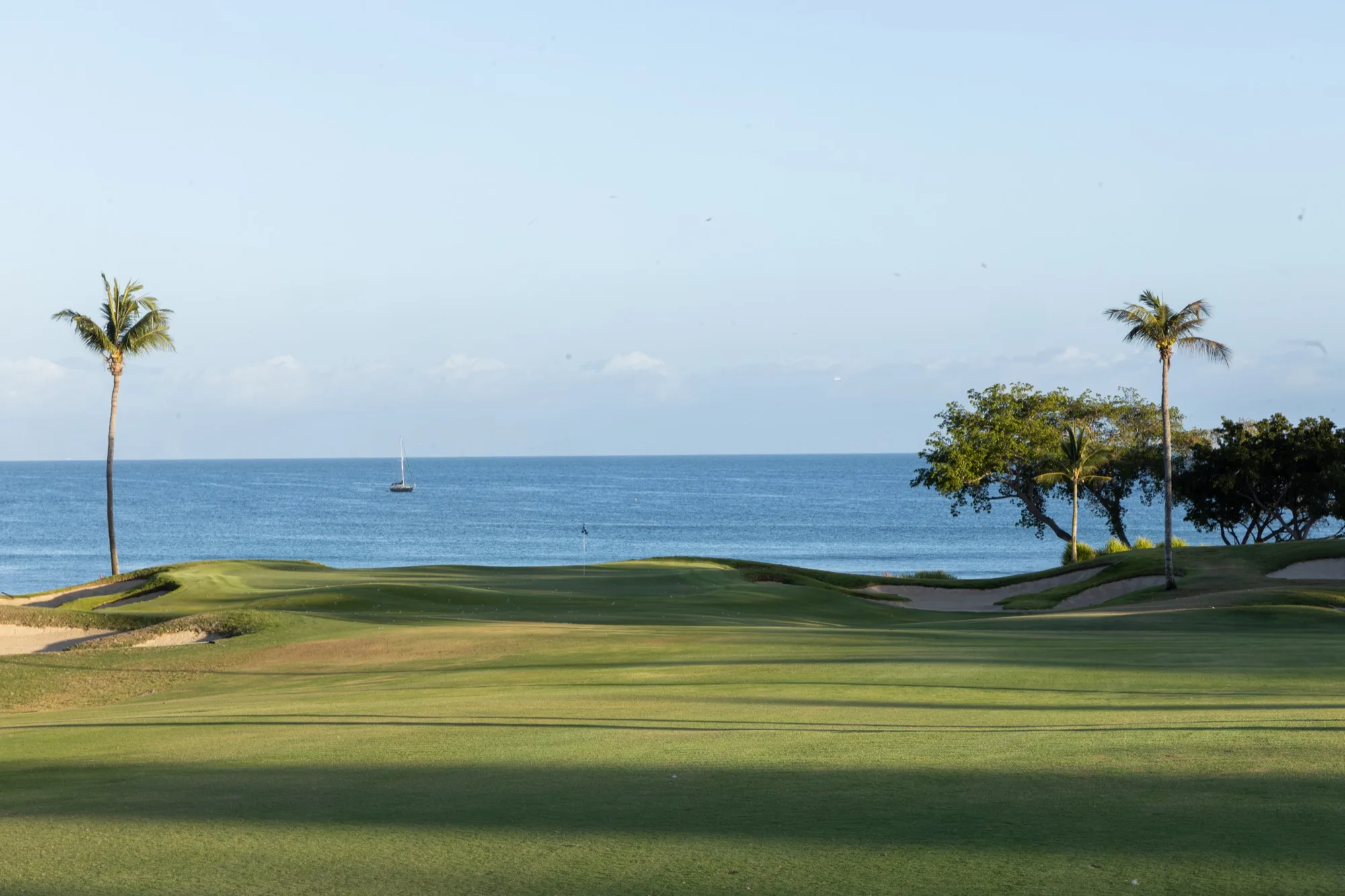 An oceanfront green on the Punta Mita peninsula, framed by palms — the opening frame of the Golf in Mexico film.