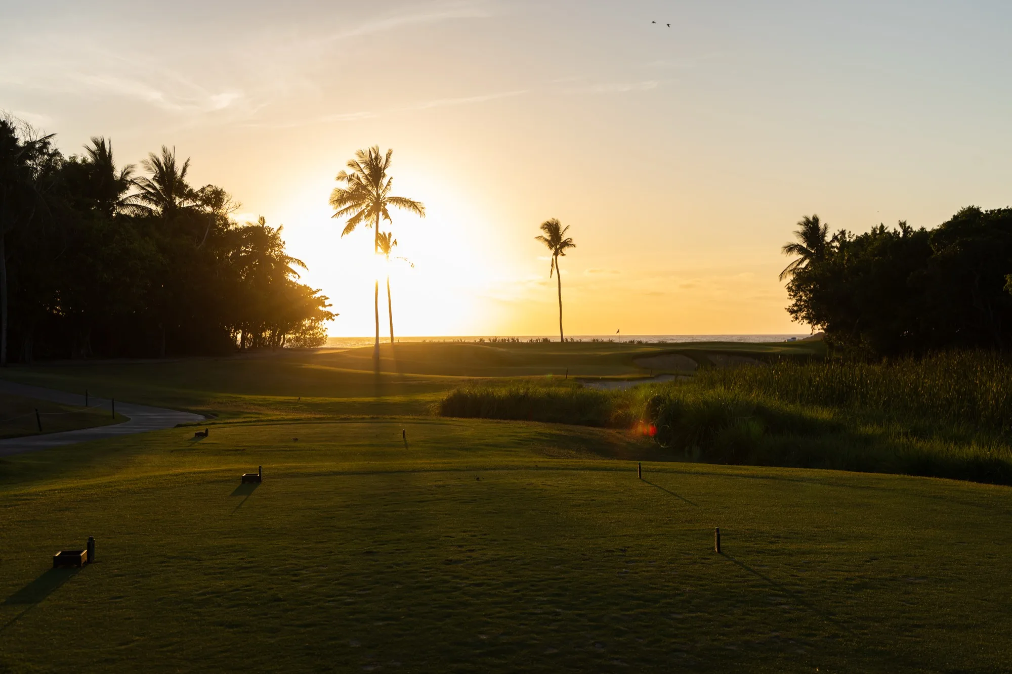 Sunset over a Punta Mita fairway, palms in silhouette against the light.