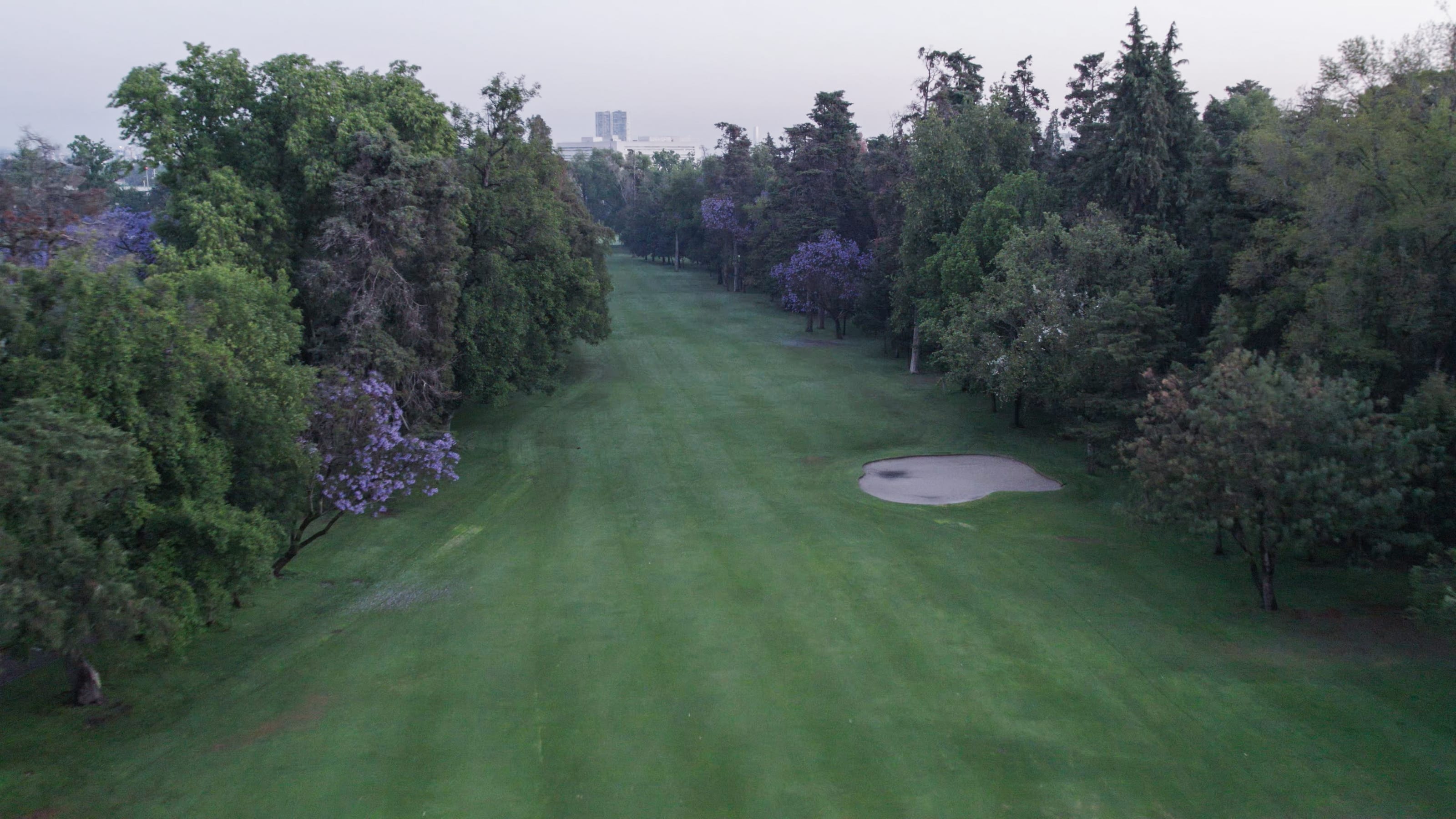 Club de Golf México